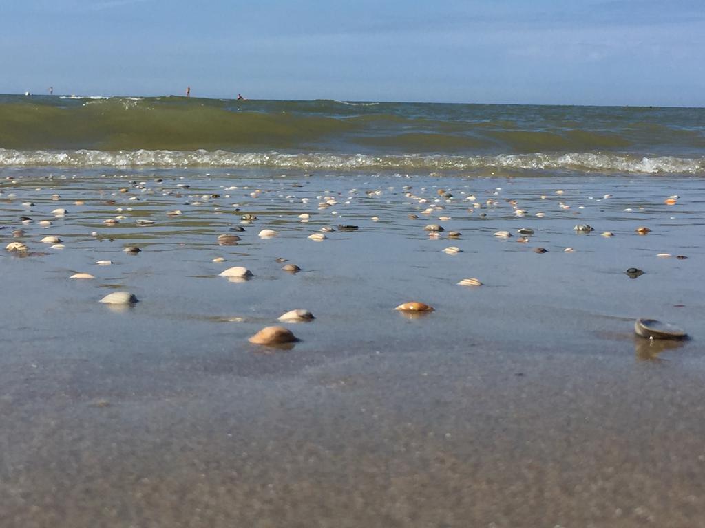 Sea You Hotel ノールトウェイク エクステリア 写真